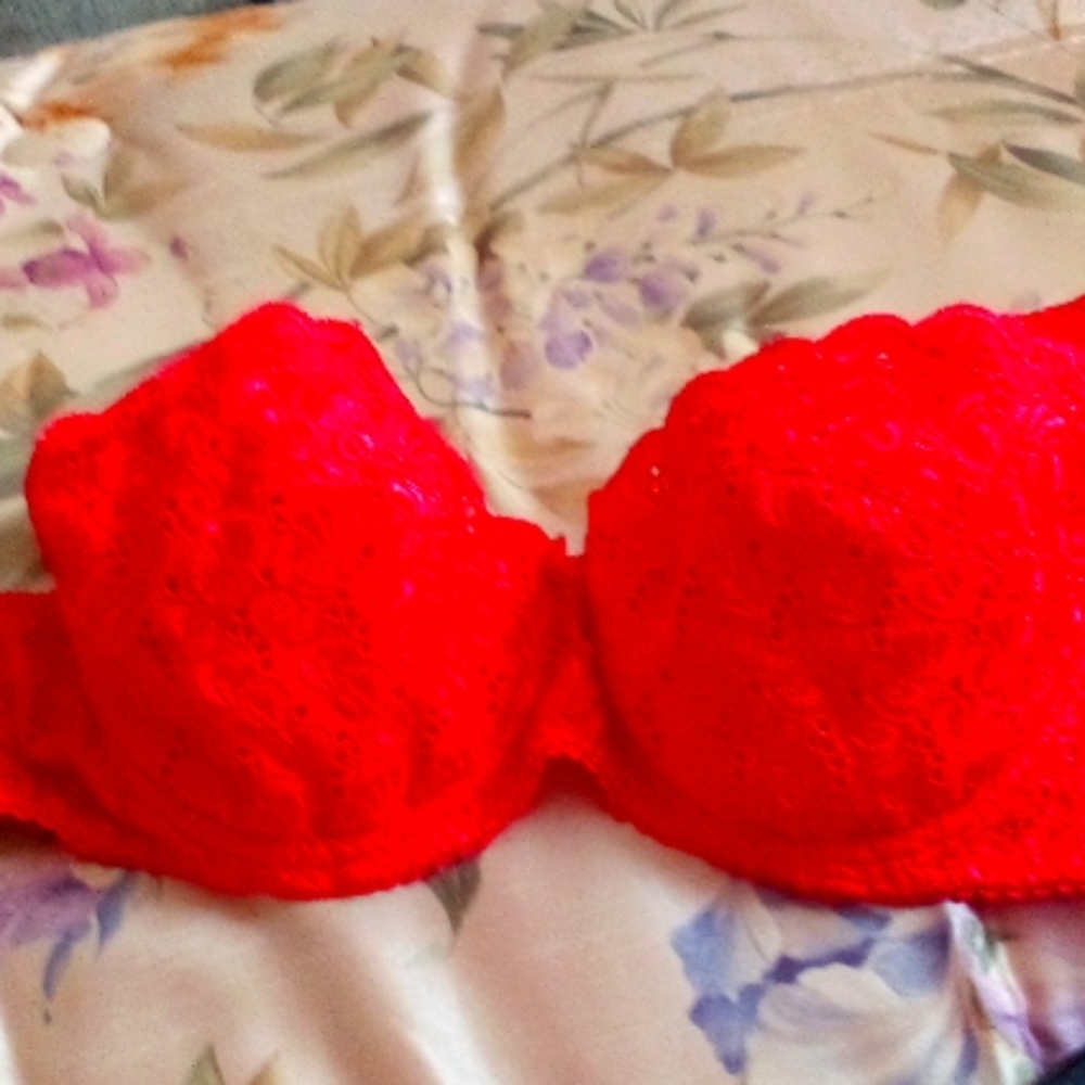 Coral lace bra size 36c(new)